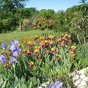 La Cigaline Bed & Breakfast