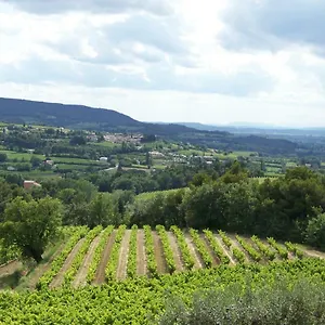 En Provence Au Coeur Des Vignes Vakantiehuis